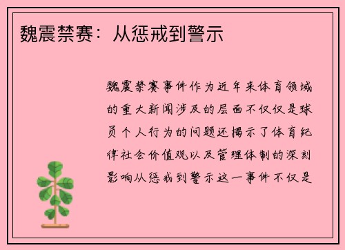 魏震禁赛：从惩戒到警示