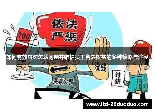 如何有效应对欠薪问题并维护员工合法权益的多种策略与途径