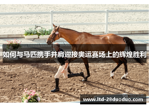 如何与马匹携手并肩迎接奥运赛场上的辉煌胜利