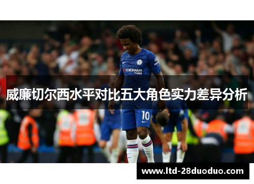 威廉切尔西水平对比五大角色实力差异分析