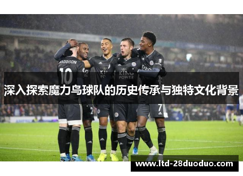 深入探索魔力鸟球队的历史传承与独特文化背景