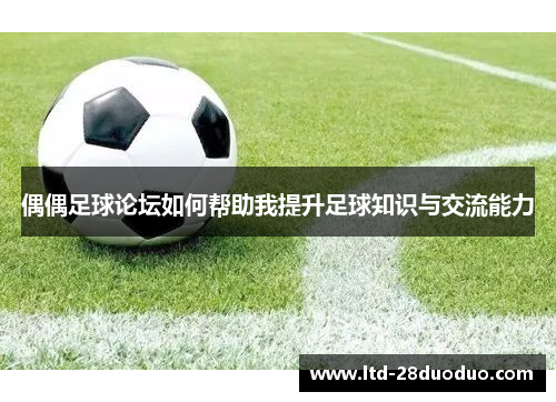 偶偶足球论坛如何帮助我提升足球知识与交流能力