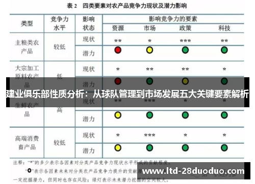 建业俱乐部性质分析：从球队管理到市场发展五大关键要素解析